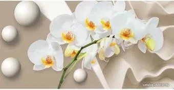 Citydecor Цветочный декор 6 3D 500x270