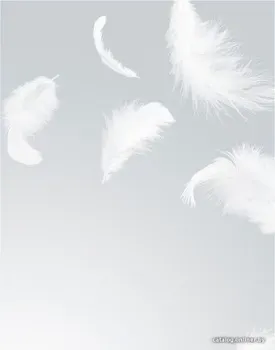 Citydecor Перышки 200x270