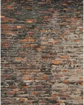 Citydecor Кирпичи 3D 200x270