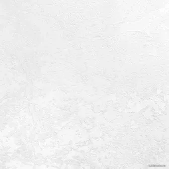 Erismann Emily 5 60237-01