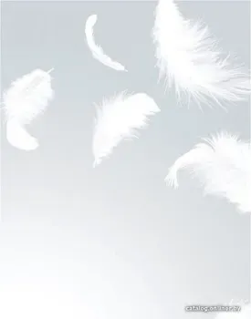 Citydecor Перышки с защитным покрытием 200x254