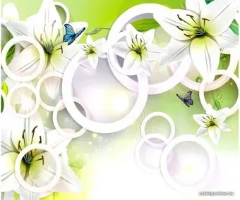 Citydecor Круги 3D с защитным покрытием 300x254