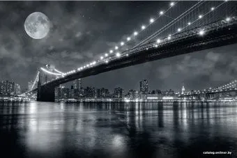 Citydecor Бруклинский мост с защитным покрытием 400x254