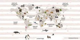 Citydecor Карта мира на русском 4 500x254