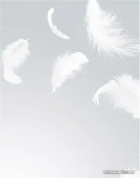 Citydecor Перышки 200x254