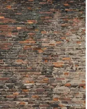 Citydecor Кирпичи 3D 200x254