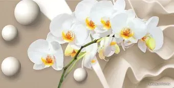 Citydecor Цветочный декор 6 3D с защитным покрытием 500x254