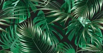 Citydecor Тропики с защитным покрытием 500x260