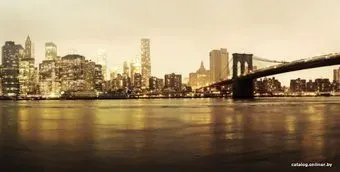 Citydecor Бруклинский мост 2 с защитным покрытием 500x254