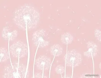 Citydecor Одуванчики 3 350x270
