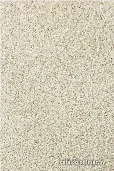 Domoletti 866B