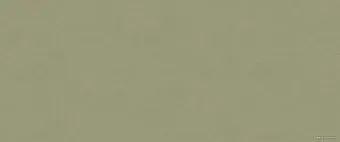 Victoria Stenova Pantone 989923