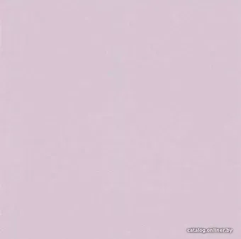 Rasch Gypso 610499
