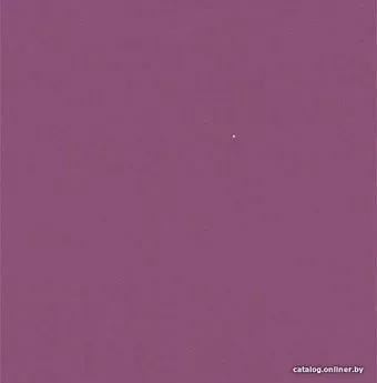 Rasch Gypso 610369