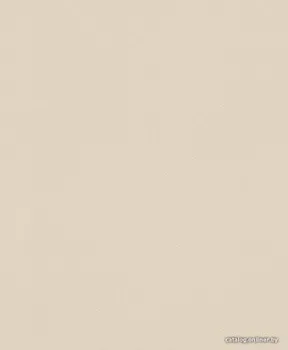 Rasch Gypso 607772