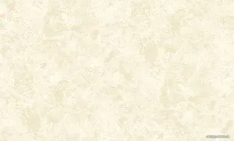 Erismann Profi Deco new III 60285-03