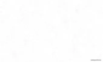 Erismann Profi Deco new III 60285-02