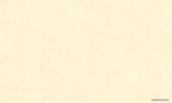 Erismann Light 4 60271-04