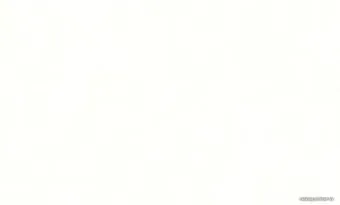 Erismann Light 4 60271-02