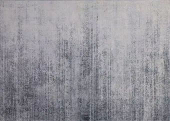 AksHome Cashmere C-29 (120x170)