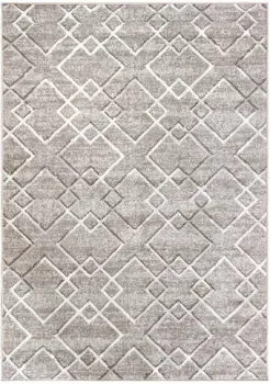 Dinarsu Epic 22093500420-P03 (1.6x2.3)