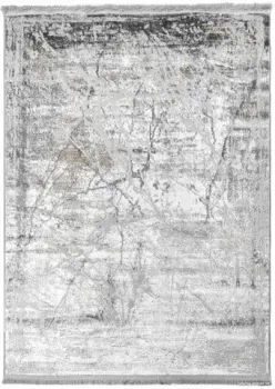 Safyun Liparis LP378-GREY (2x3)