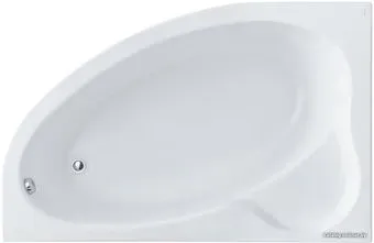 Santek Эдера 170x100L 1WH501662 (с каркасом)