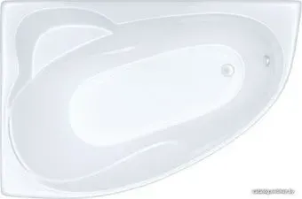 Triton Изабель 170x100R (с каркасом)