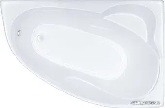 Triton Николь 160x100R (с каркасом, экраном и сифоном)