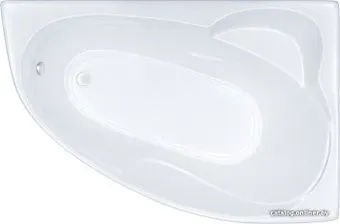 Triton Изабель 170x100R (с каркасом, экраном и сифоном)