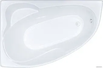 Triton Николь 160x100L (с каркасом, экраном и сифоном)