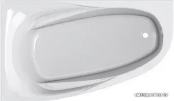 Astra-Form Селена 170x100 L
