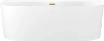 Wellsee Collaro 170x80 28910104R (пристенная ванна белый глянец, экран, ножки, сифон-автомат золото)