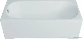 Triton Дина 170x75 (с каркасом, сифоном, экраном и торцевым экраном)