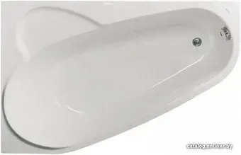 VagnerPlast Selena 160x105 L (с каркасом и экраном)