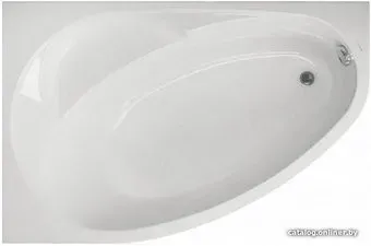 VagnerPlast Flora 150x100 L (с каркасом и экраном)