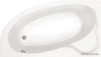 Santek Эдера 170x110 L 1WH111995 (с каркасом и экраном)