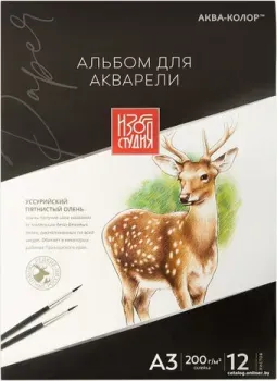 Аква-Колор IZO-AWG-A3 Изостудия A3 30х40 см (12 л)