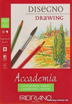 Fabriano Accademia 41201421 (30 л)