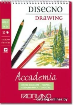 Fabriano Accademia 44202942 (30 л)