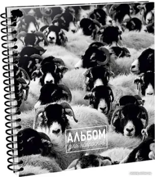 Попурри. Скетчбук Овцы (80 л)