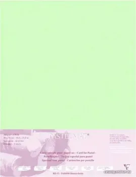 Clairefontaine PastelMat 96157C (светло-зеленый)