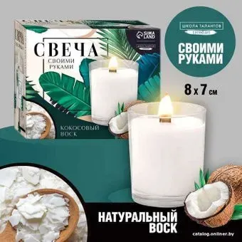 Школа талантов Coconut 9210190