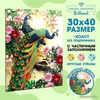 Школа талантов Павлины 1516816