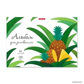 Erich Krause Juicy Fruits 58565 (40 л)