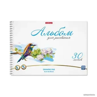 Erich Krause Birds 58579 (30 л)