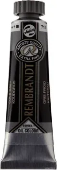 Rembrandt 717 01037172 (серый холодный)