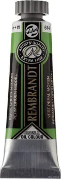Rembrandt 614 01036142 (зеленый средний прочный)