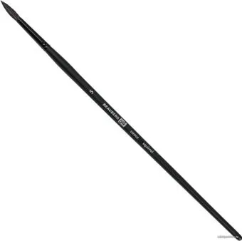 BRAUBERG Classic Белка 5 200902 (круглая)