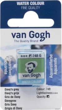 Van Gogh 748 20867481 (серый дэви)